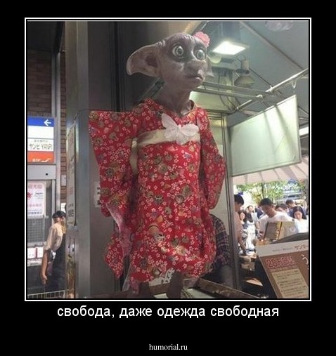 свобода, даже одежда свободная