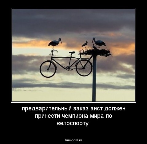 предварительный заказ аист должен принести чемпиона мира по велоспорту