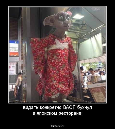 видать конкретно ВАСЯ бухнул в японском ресторане 