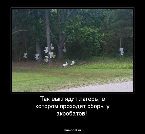 Так выглядит лагерь, в котором проходят сборы у акробатов!