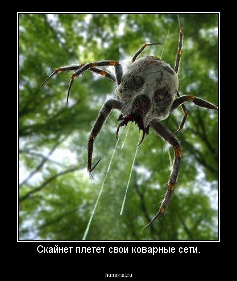 Скайнет плетет свои коварные сети.