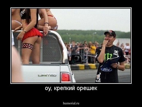 оу, крепкий орешек