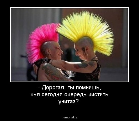 - Дорогая, ты помнишь, чья сегодня очередь чистить унитаз?