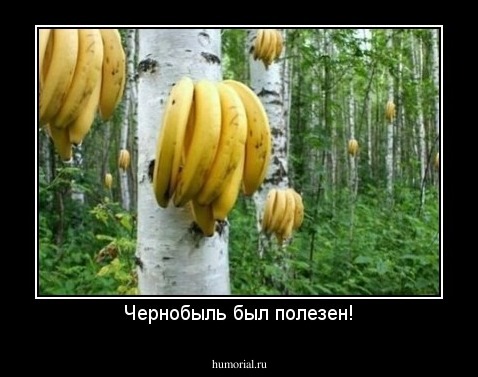 Чернобыль был полезен!