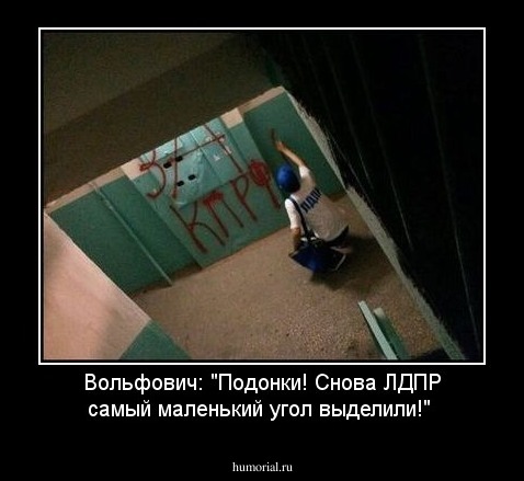 Вольфович: "Подонки! Снова  ЛДПР самый  маленький угол выделили!"
