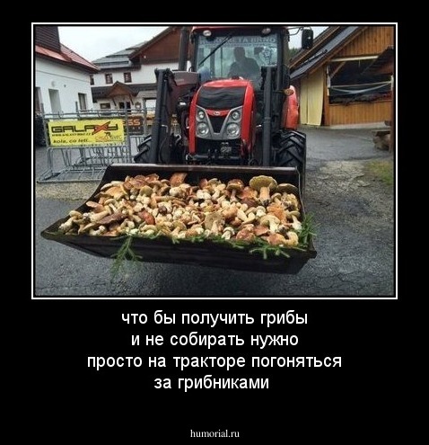 что бы получить грибы и не собирать нужно просто на тракторе погоняться за грибниками 