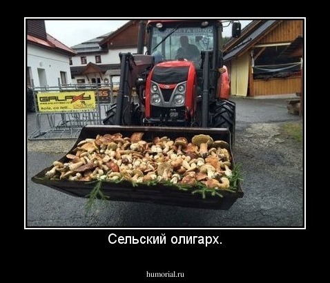 Сельский олигарх.