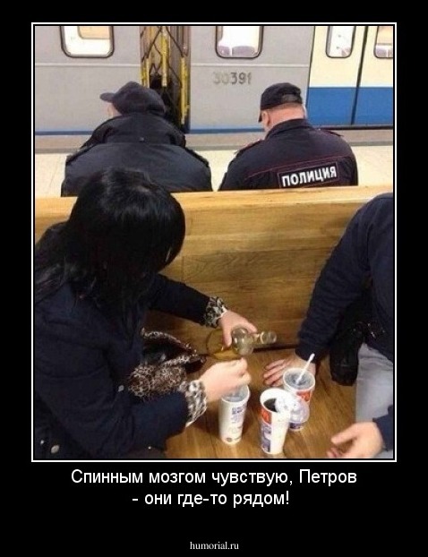Спинным мозгом чувствую, Петров - они где-то рядом!