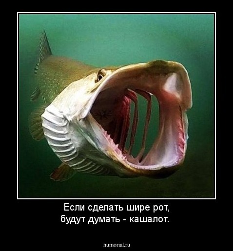 Если сделать шире рот, будут думать  - кашалот.