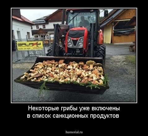 Некоторые грибы уже включены в список санкционных продуктов
