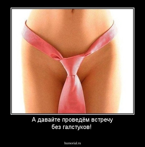 А давайте проведём встречу без галстуков!