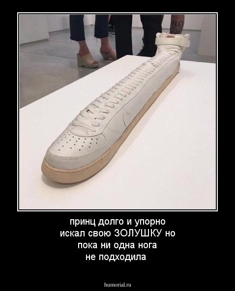 принц долго и упорно искал свою ЗОЛУШКУ но пока ни одна нога не подходила 