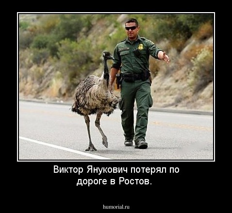 Виктор Янукович потерял по дороге в Ростов.