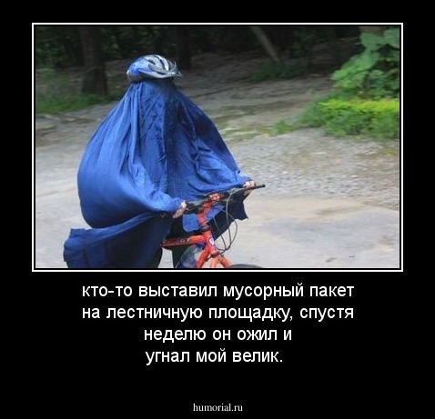 кто-то выставил мусорный пакет на лестничную площадку, спустя неделю он ожил и угнал мой велик.