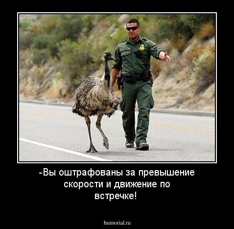 -Вы оштрафованы за превышение скорости и движение по встречке!