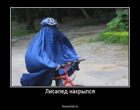 Лисапед накрылся