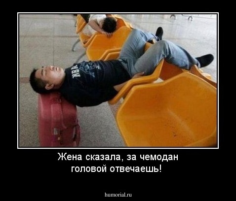Жена сказала, за чемодан головой отвечаешь!