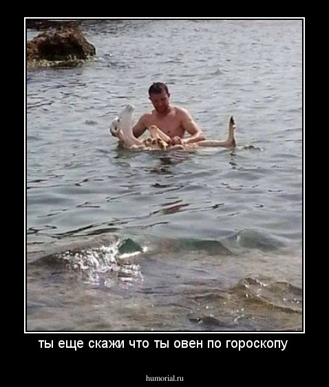 ты еще скажи что ты овен по гороскопу 