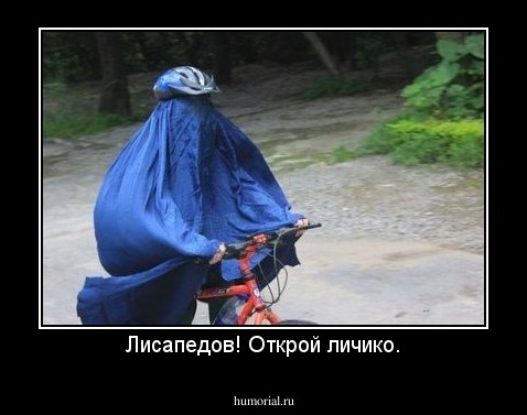 Лисапедов! Открой личико.