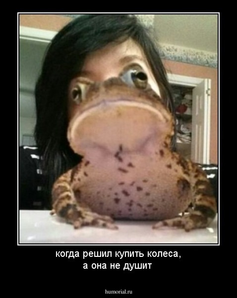когда решил купить колеса, а она не душит
