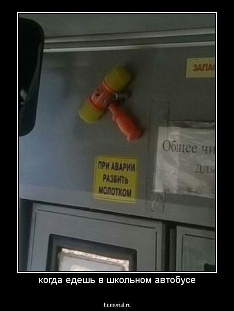 когда едешь в школьном автобусе