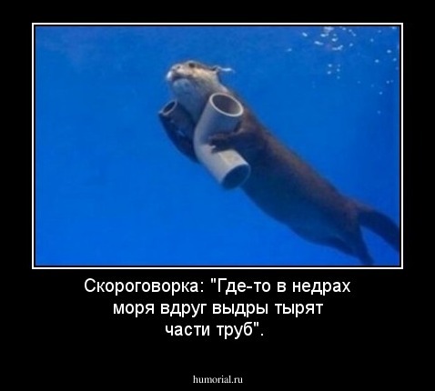 Скороговорка: "Где-то в недрах моря вдруг выдры тырят части труб".