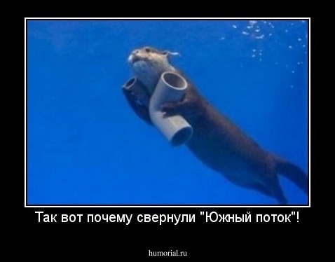 Так вот почему свернули "Южный поток"!