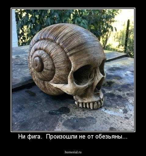 Ни фига.  Произошли не от обезьяны...