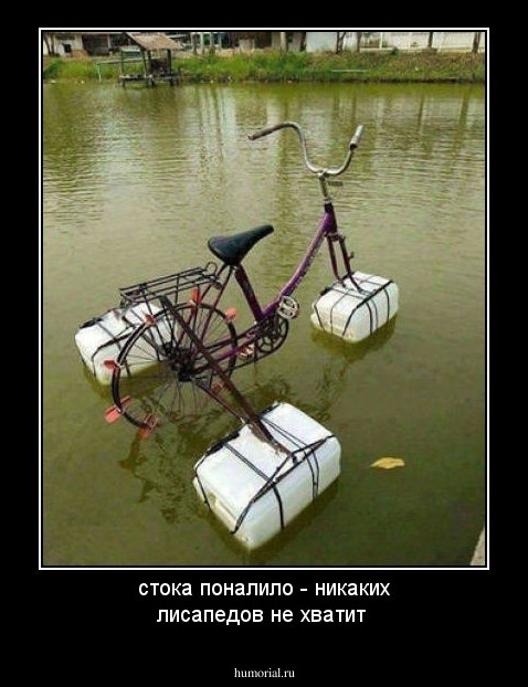 стока поналило - никаких лисапедов не хватит