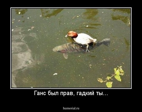 Ганс был прав, гадкий ты...