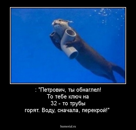 : "Петрович, ты обнаглел! То тебе ключ на 32  -  то трубы горят.  Воду, сначала, перекрой!"