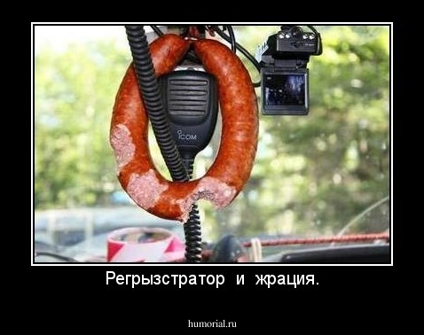 Регрызстратор  и  жрация.