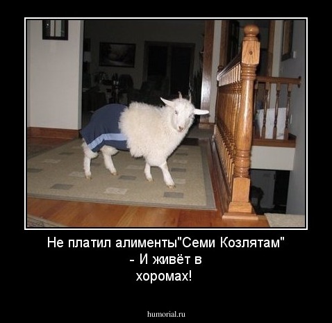 Не платил алименты"Семи Козлятам" -
И живёт в хоромах!