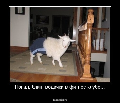 Попил, блин, водички в фитнес клубе...