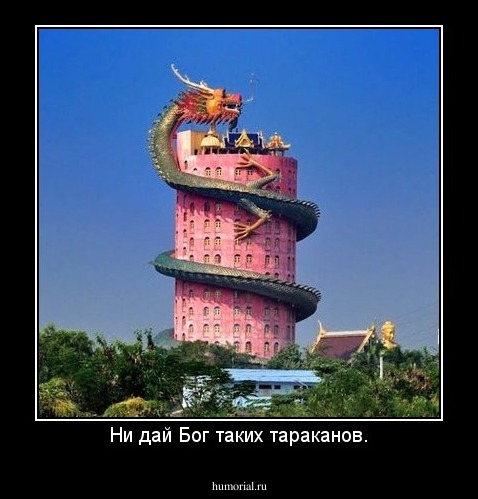 Ни дай Бог таких тараканов.