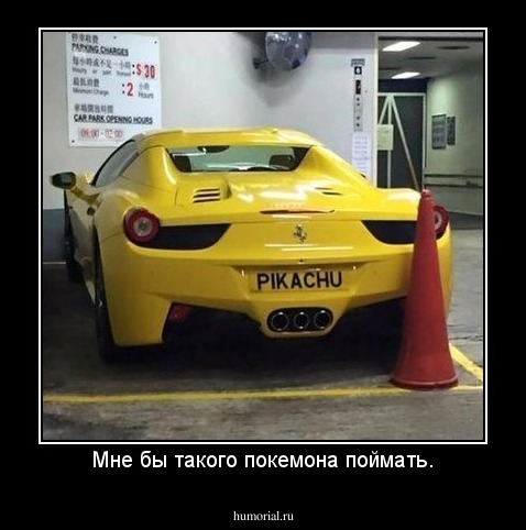 Мне бы такого покемона поймать.