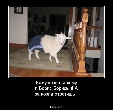 Кому козел, а кому и Борис Борисыч! А за козла ответишь!
