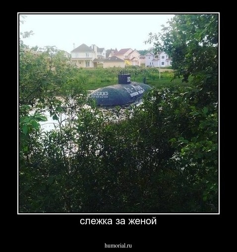слежка за женой