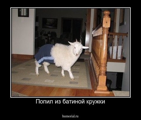 Попил из батиной кружки