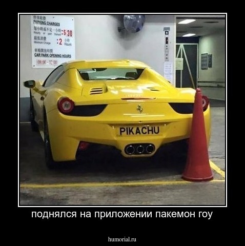 поднялся на приложении пакемон гоу