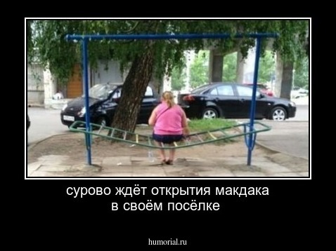 сурово ждёт открытия макдака в своём посёлке