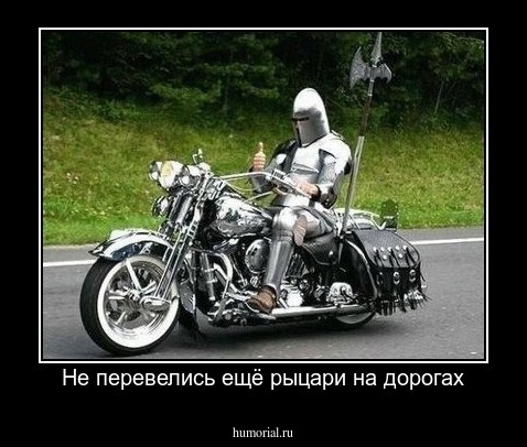 Не перевелись ещё рыцари на дорогах