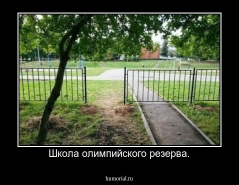 Школа олимпийского резерва.