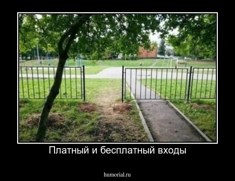 Платный и бесплатный входы