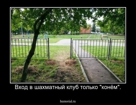 Вход в шахматный клуб только "конём".
