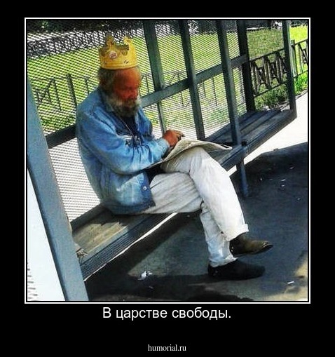 В царстве свободы.