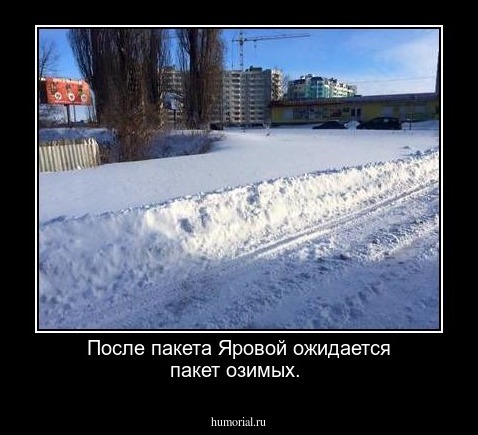 После пакета Яровой ожидается пакет озимых.