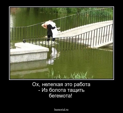 Ох, нелегкая это работа -
Из болота тащить бегемота!