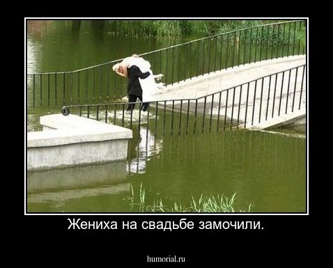 Жениха на свадьбе замочили.