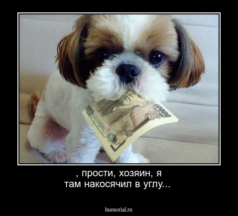 , прости, хозяин, я там накосячил в углу...